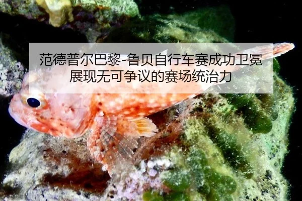 fan-de-pu-er-ba-li-lu-bei-zi-xing-che-sai-cheng-gong-wei-mian-zhan-xian-wu-ke-zheng-yi-de-sai-chang-tong-zhi-li-2-208.jpg