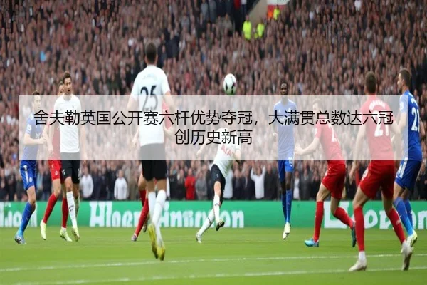 she-fu-lei-ying-guo-gong-kai-sai-liu-gan-you-shi-duo-guan-da-man-guan-zong-shu-da-liu-guan-chuang-li-shi-xin-gao-3-756.jpg